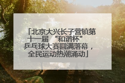 北京大兴长子营镇第十一届 “和谐杯” 乒乓球大赛圆满落幕，全民运动热潮涌动