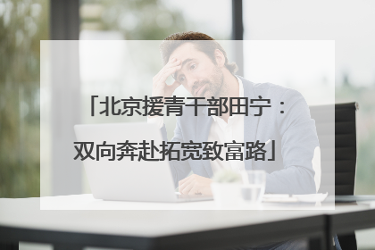 北京援青干部田宁：双向奔赴拓宽致富路