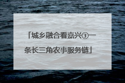 城乡融合看嘉兴③一条长三角农事服务链