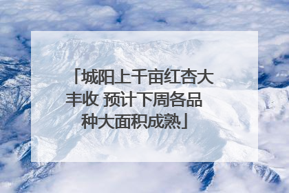 城阳上千亩红杏大丰收 预计下周各品种大面积成熟