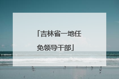 吉林省一地任免领导干部