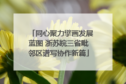 同心聚力擘画发展蓝图 浙苏皖三省毗邻区谱写协作新篇