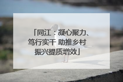 同江：凝心聚力、笃行实干 助推乡村振兴提质增效