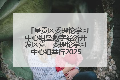呈贡区委理论学习中心组暨数字经济开发区党工委理论学习中心组举行2025年第七次学习会议