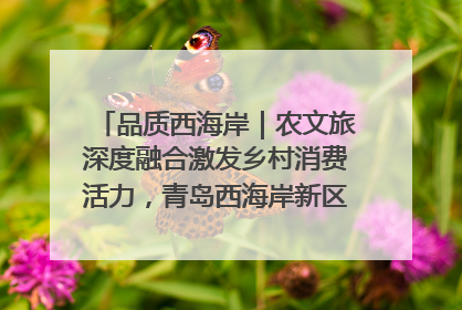 品质西海岸｜农文旅深度融合激发乡村消费活力，青岛西海岸新区的乡村振兴实践