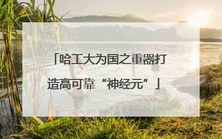 哈工大为国之重器打造高可靠“神经元”