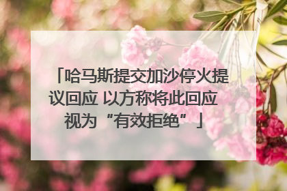 哈马斯提交加沙停火提议回应 以方称将此回应视为“有效拒绝”