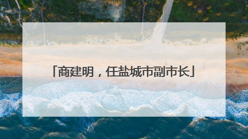 商建明，任盐城市副市长
