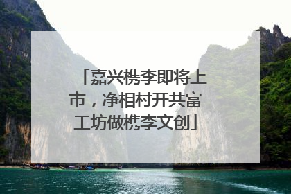 嘉兴槜李即将上市，净相村开共富工坊做槜李文创