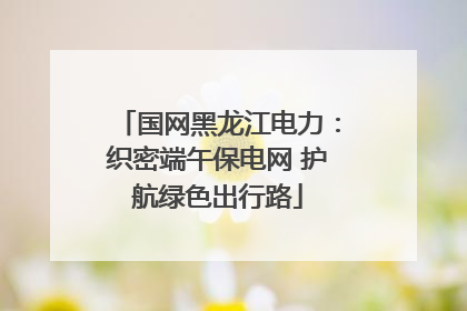 国网黑龙江电力：织密端午保电网 护航绿色出行路