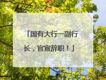 国有大行一副行长，官宣辞职！