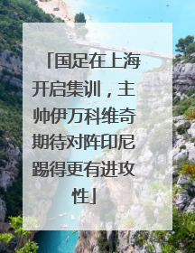 国足在上海开启集训，主帅伊万科维奇期待对阵印尼踢得更有进攻性