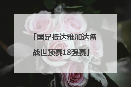 国足抵达雅加达备战世预赛18强赛
