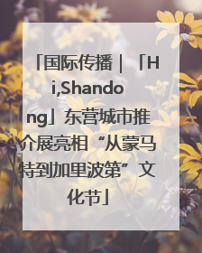 国际传播｜「Hi,Shandong」东营城市推介展亮相“从蒙马特到加里波第”文化节