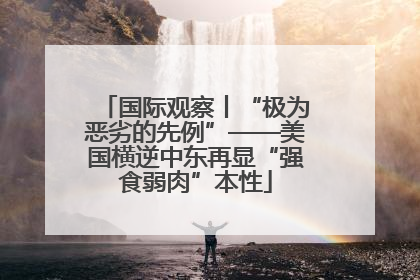 国际观察丨“极为恶劣的先例”——美国横逆中东再显“强食弱肉”本性