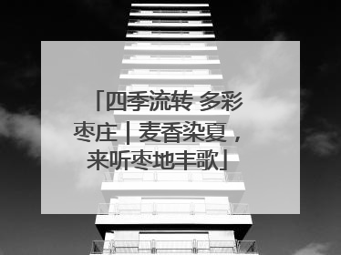 四季流转 多彩枣庄｜麦香染夏，来听枣地丰歌