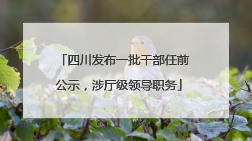 四川发布一批干部任前公示，涉厅级领导职务