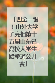 四金一银！山外大学子亮相第十五届山东省高校大学生跆拳道公开赛