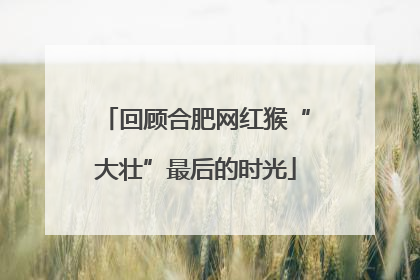 回顾合肥网红猴“大壮”最后的时光