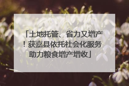 土地托管、省力又增产！获嘉县依托社会化服务助力粮食增产增收