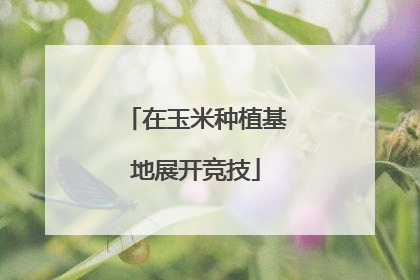 在玉米种植基地展开竞技
