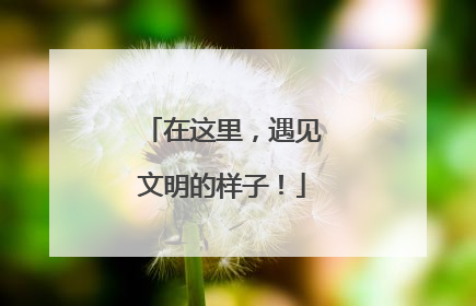 在这里，遇见文明的样子！