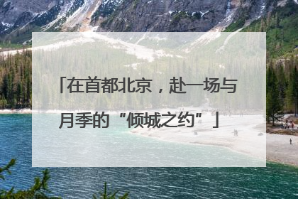 在首都北京，赴一场与月季的“倾城之约”