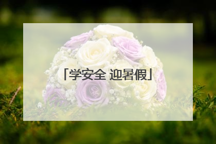 学安全 迎暑假