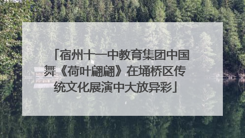 宿州十一中教育集团中国舞《荷叶翩翩》在埇桥区传统文化展演中大放异彩