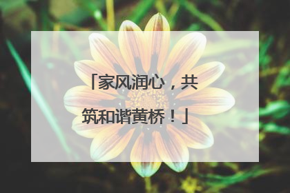 家风润心，共筑和谐黄桥！