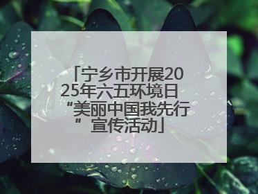 宁乡市开展2025年六五环境日“美丽中国我先行”宣传活动