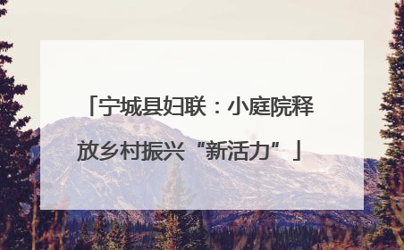 宁城县妇联：小庭院释放乡村振兴“新活力”