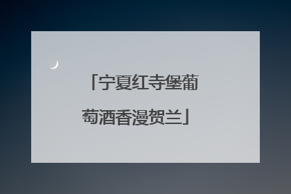宁夏红寺堡葡萄酒香漫贺兰