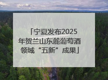 宁夏发布2025年贺兰山东麓葡萄酒领域“五新”成果