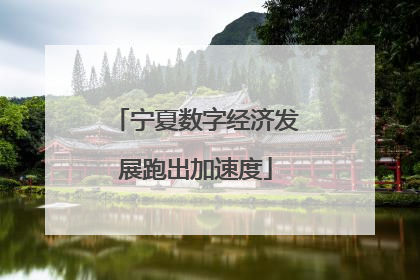 宁夏数字经济发展跑出加速度