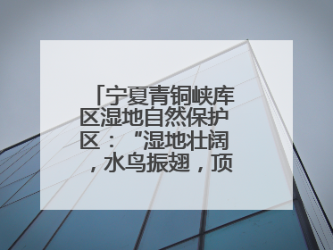 宁夏青铜峡库区湿地自然保护区：“湿地壮阔，水鸟振翅，顶有趣呢！”