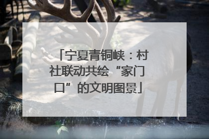 宁夏青铜峡：村社联动共绘“家门口”的文明图景