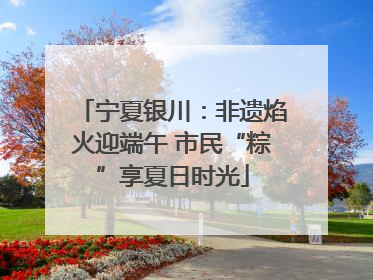 宁夏银川：非遗焰火迎端午 市民“粽”享夏日时光