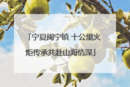 宁夏闽宁镇 十公里火炬传承共赴山海情深