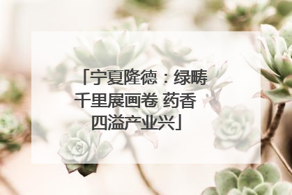 宁夏隆德：绿畴千里展画卷 药香四溢产业兴