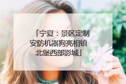 宁夏：景区定制安防机器狗亮相镇北堡西部影城