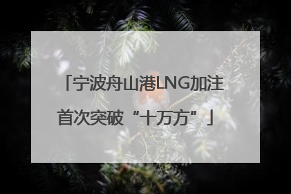 宁波舟山港LNG加注首次突破“十万方”