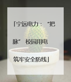 宁远电力：“把脉” 校园用电 筑牢安全防线