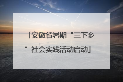 安徽省暑期“三下乡”社会实践活动启动