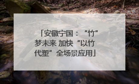 安徽宁国：“竹”梦未来 加快“以竹代塑”全场景应用