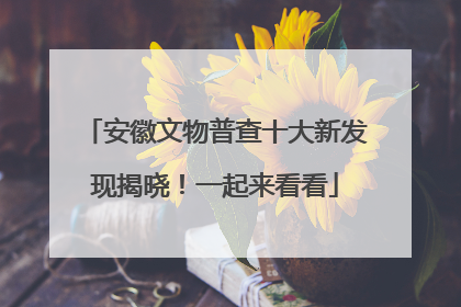 安徽文物普查十大新发现揭晓！一起来看看