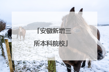 安徽新增三所本科院校