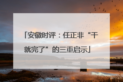 安徽时评：任正非“干就完了”的三重启示