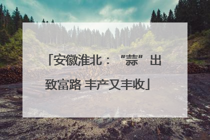 安徽淮北：“蒜”出致富路 丰产又丰收