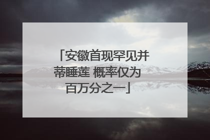安徽首现罕见并蒂睡莲 概率仅为百万分之一